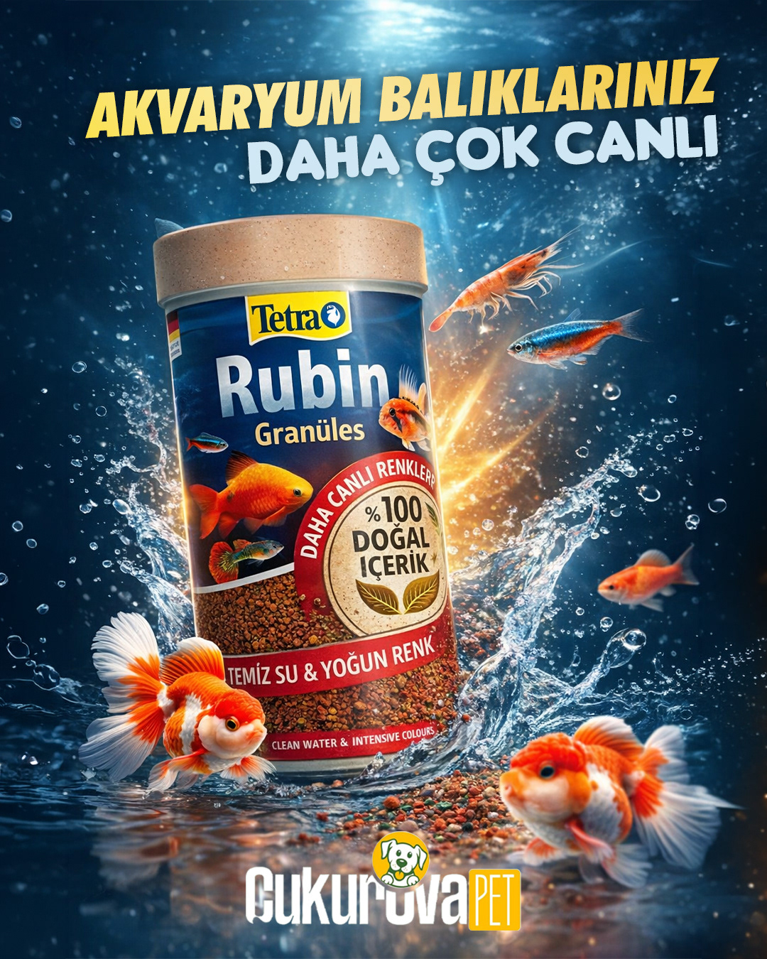 Tasarım