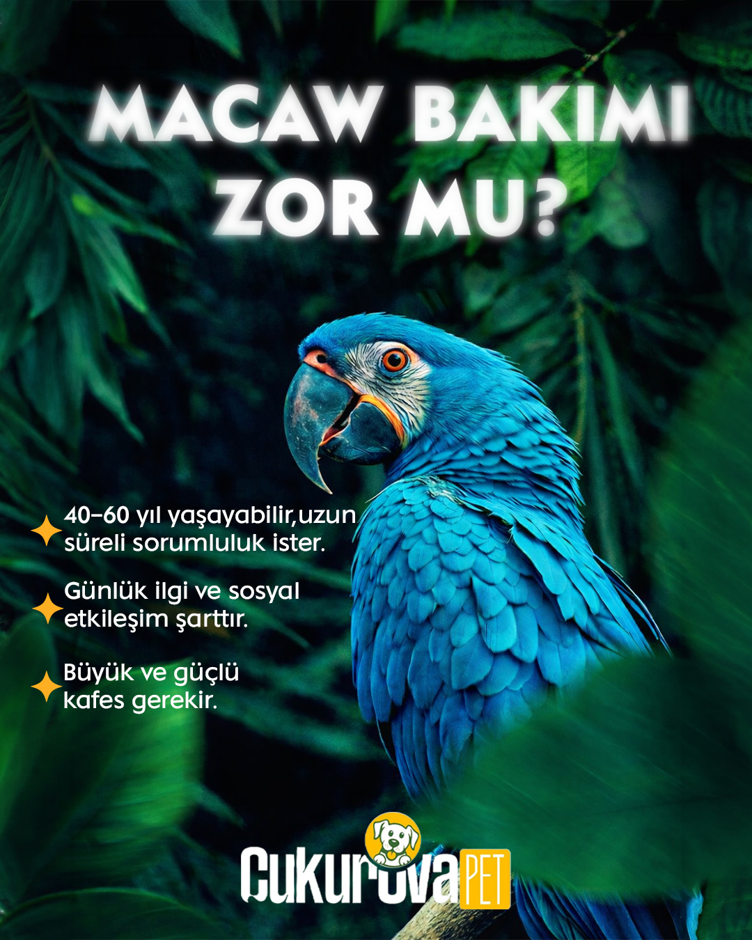 Tasarım